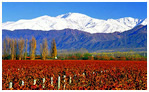 Mendoza
